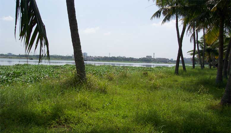 Varapuzha